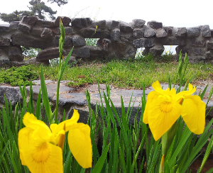 이색 여행지 BEST 4