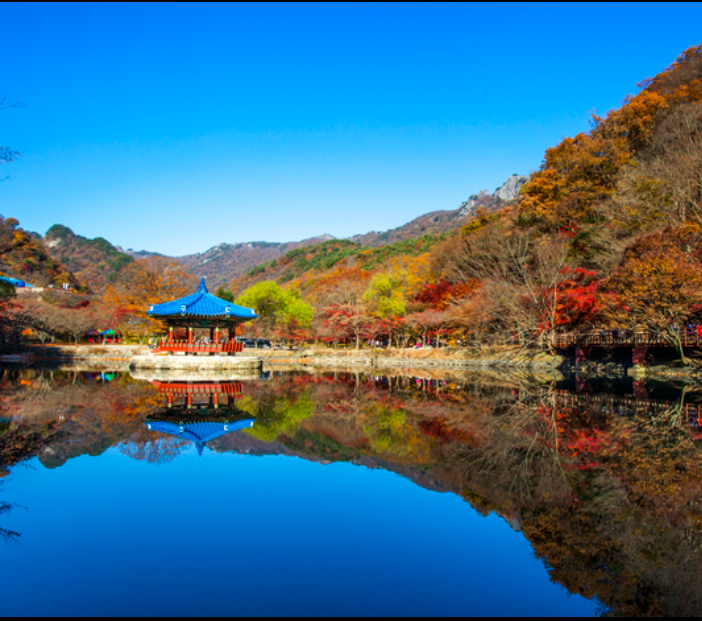 내장산 내장호수 & 우화정 야경 여행 – 여름의 정취가 깃든 자연과 전통의 만남