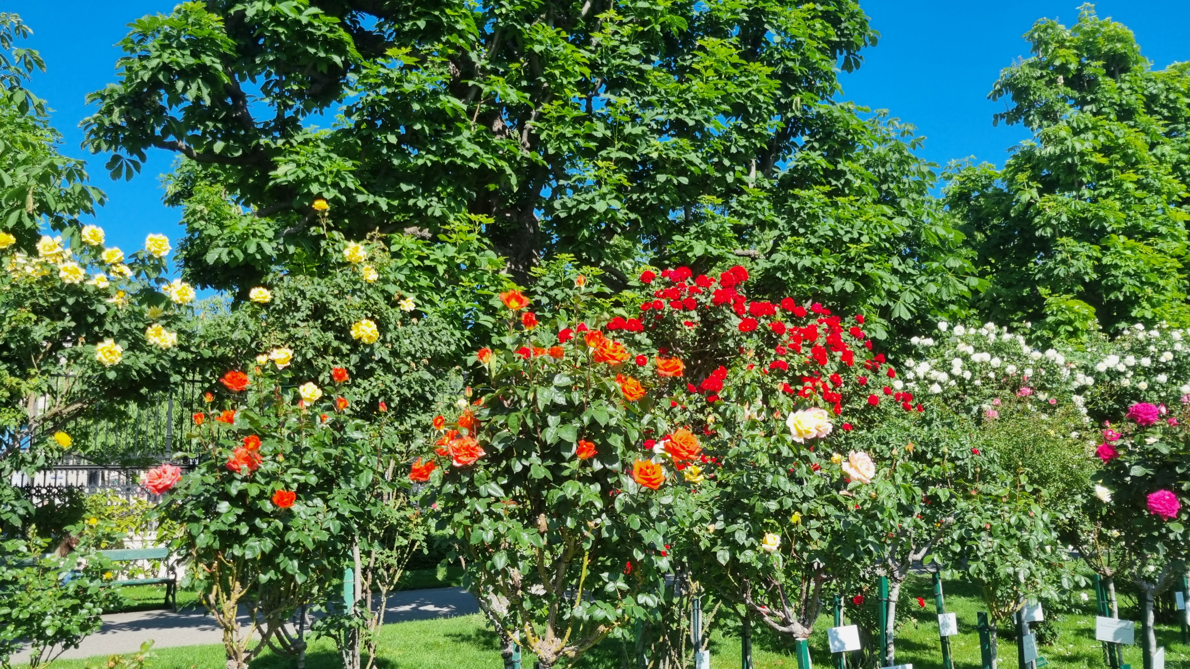 폴크스가르텐(Volksgarten)