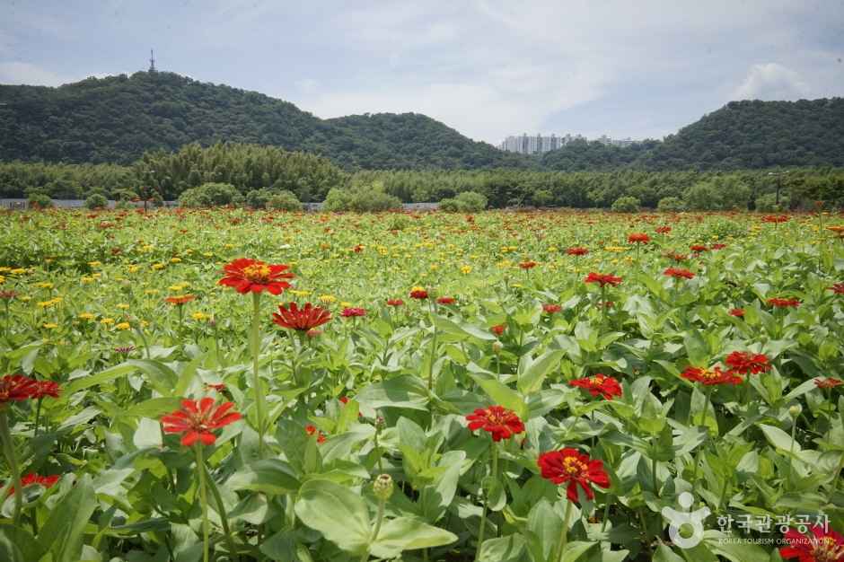 태화강 국가정원