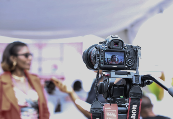 컬트 영화 입문 가이드