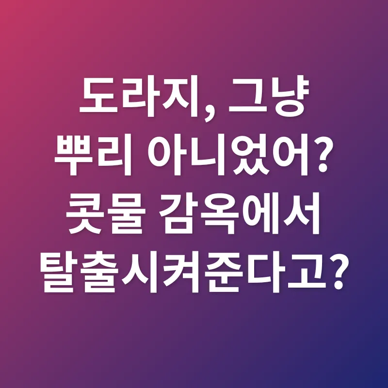 도라지 효능_1