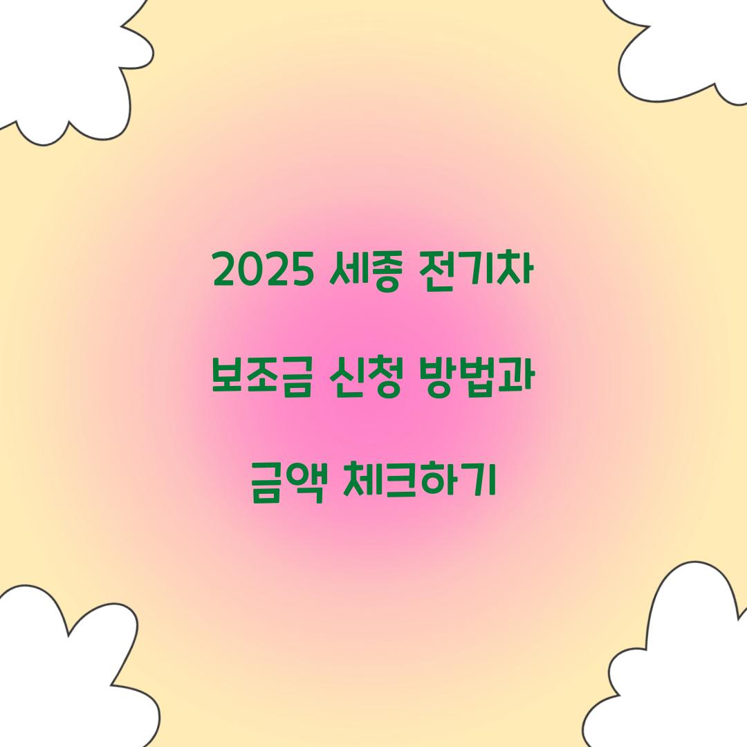 세종 전기차 보조금