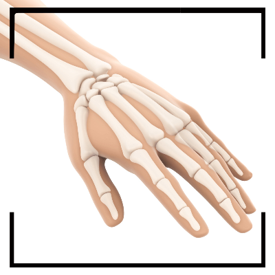 통풍에 좋은 음식