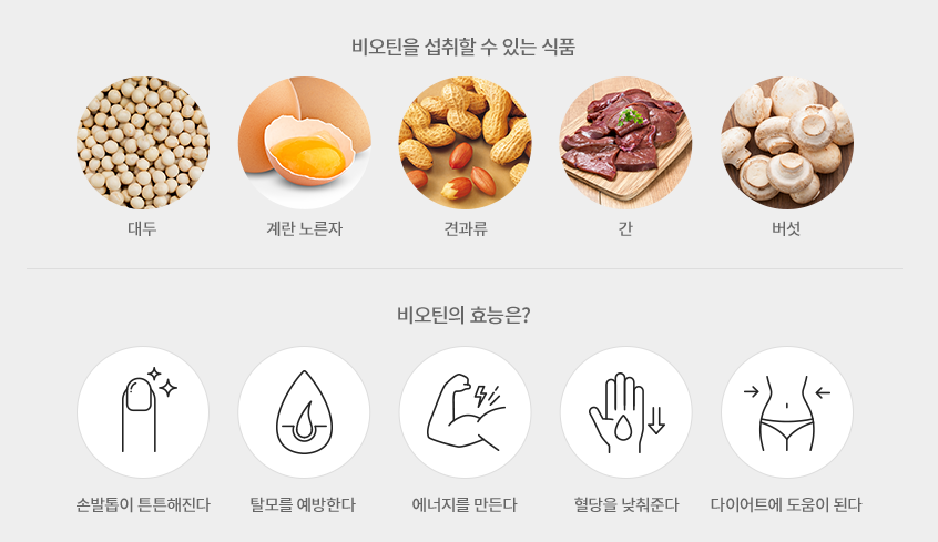 비오틴 공급 식품