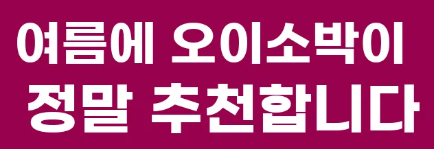 여름에 오이소박이 정말 추천합니다