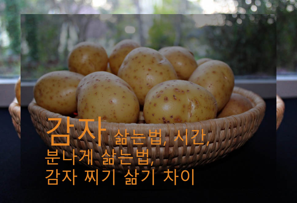 감자 삶는법, 시간, 분나게 삶는법, 감자 찌기 삶기 차이