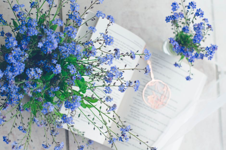 Blue Forget-Me-Nots beautifully arranged on an open book with delicate details, perfect for decor inspiration.