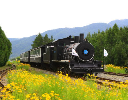 곡성 기차마을 증기기관차