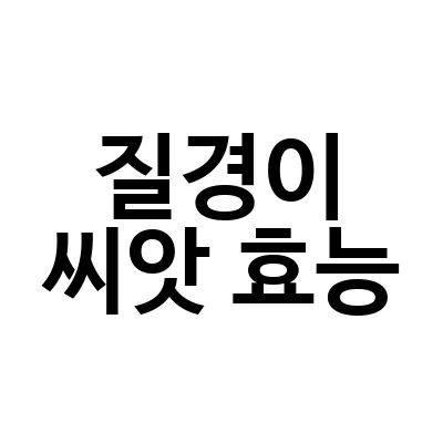 질경이 씨앗 효능