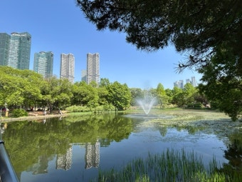 서울숲 혼자 산책과 북카페 탐방 코스 – 감성과 여유를 걷다