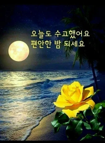 밤 인사 이미지 20개 따뜻한 말 한마디 전하세요 정리_17