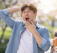 스프링 피버 뜻