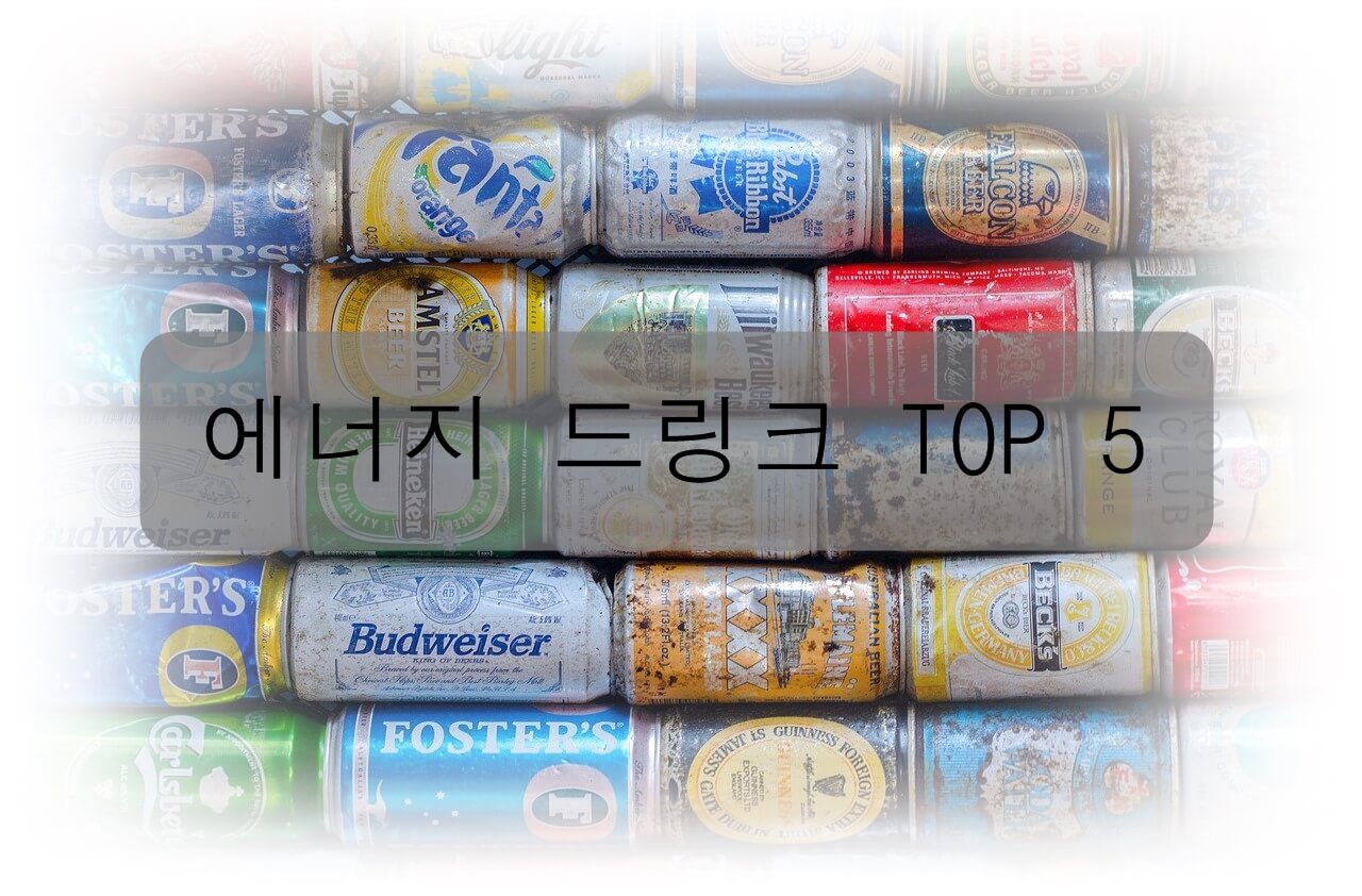 피곤한 당신을 위한 에너지 드링크 TOP 5 (핫식스, 몬스터, 핫식스 더킹, 레드불, 박카스) - 맛과 종류, 성분, 후기