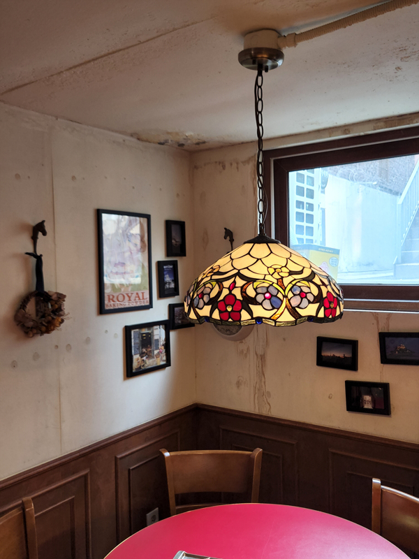 장화신은_고양이_실내03