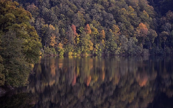 등기부등본 인터넷발급 2025 5