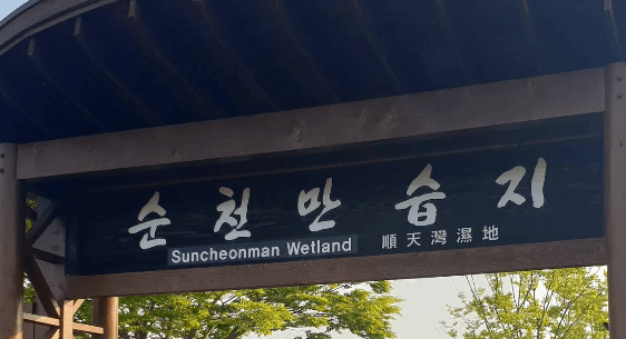 순천만습지 갈대밭 입장