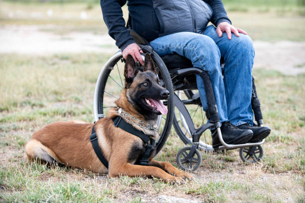 반려동물 훈련소 선택 기준