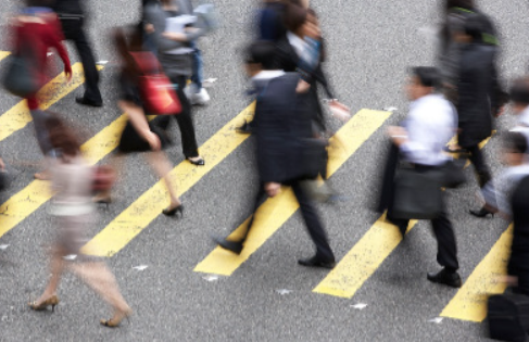2030 을목일간의 성향과 가치관, 커리어 방향과 직업운, 인간관계와 연애운의 흐름