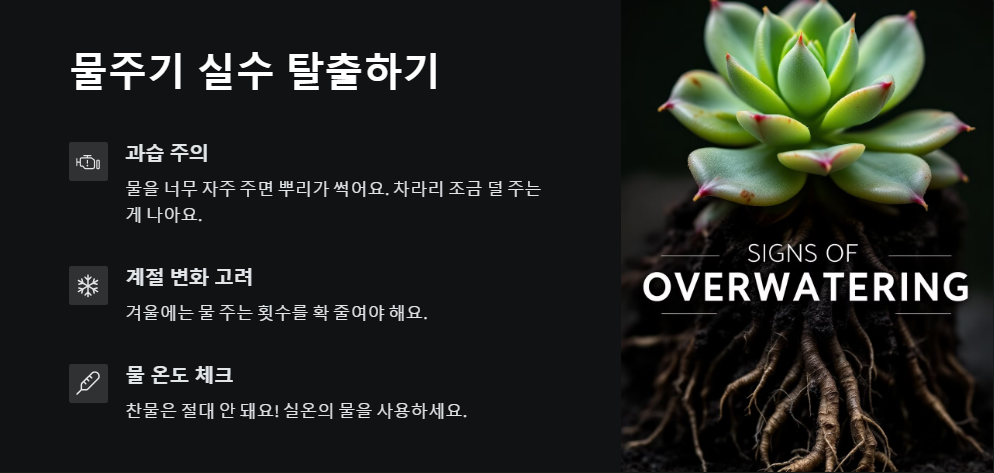 다육이 종류별 물주기 가이드