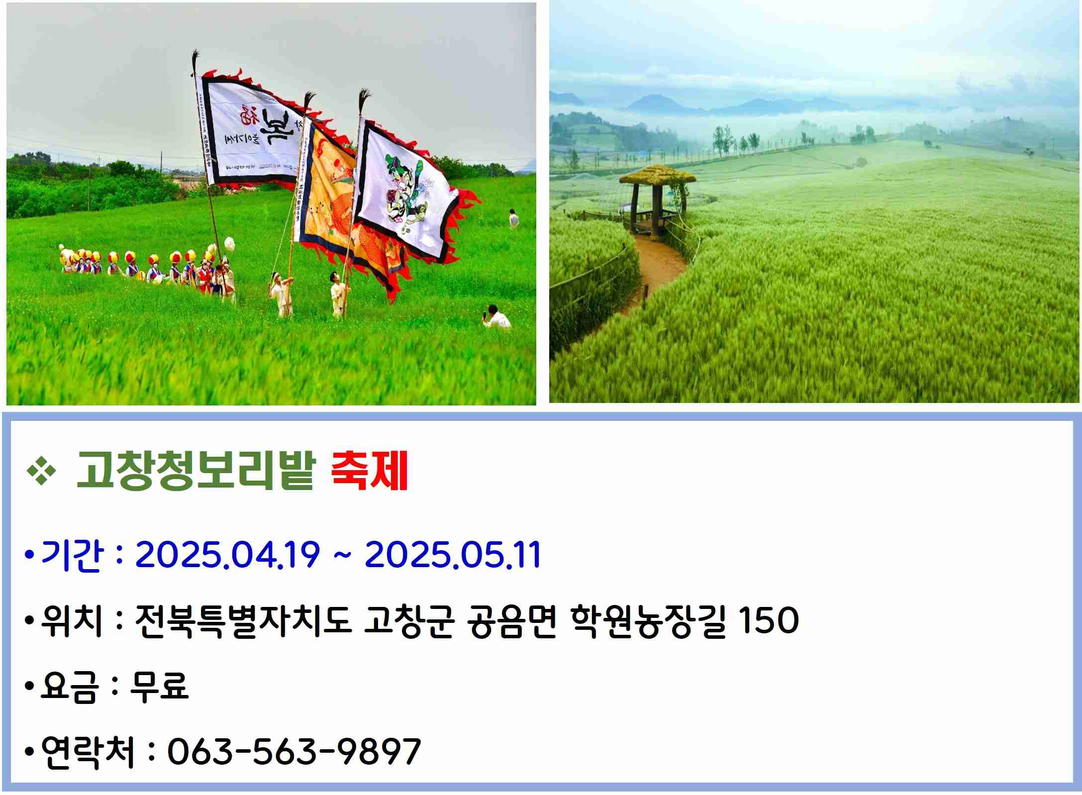 고창청보리밭 축제