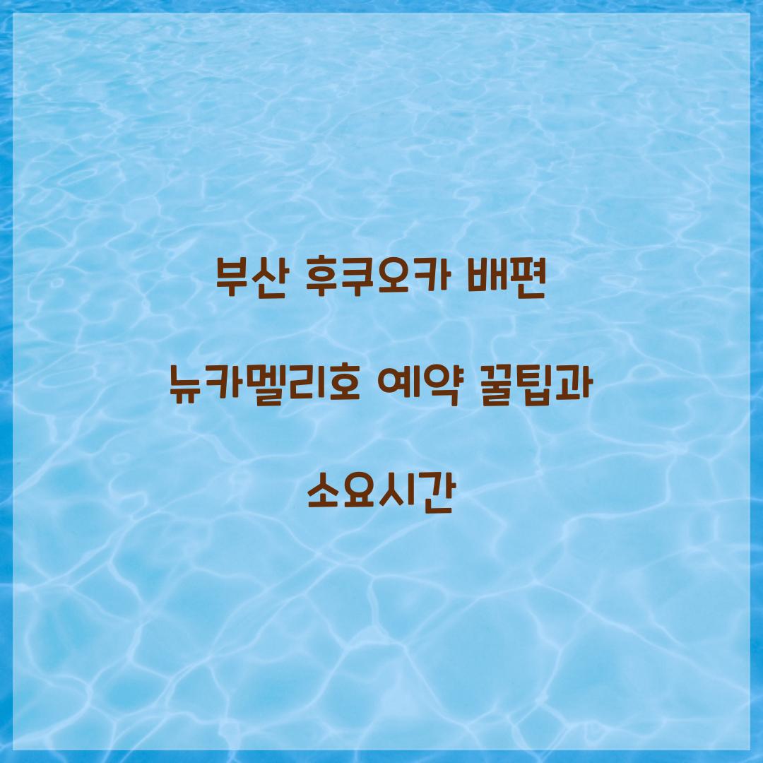 부산 후쿠오카 배편 뉴카멜리호