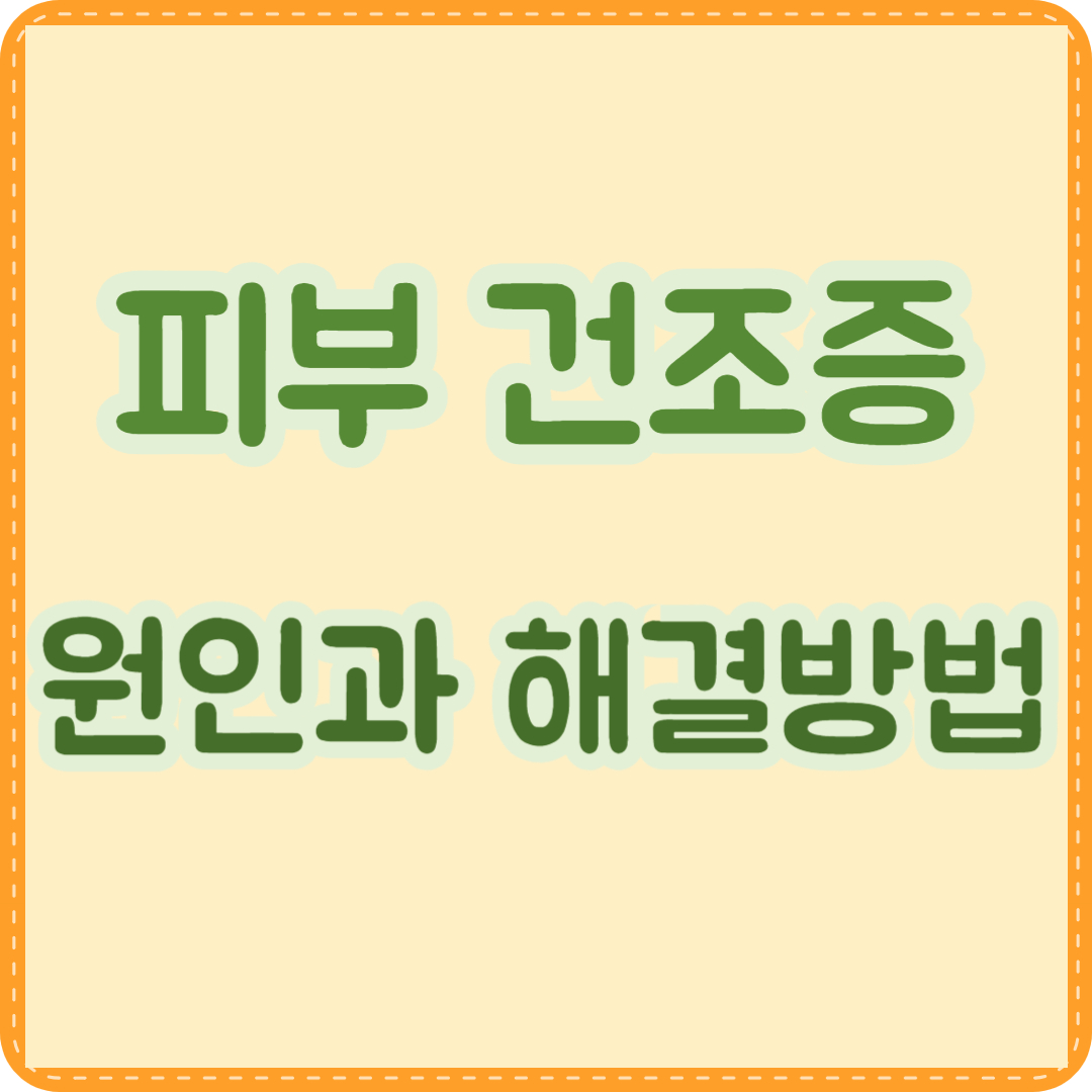 피부 건조증 원인 해결방법