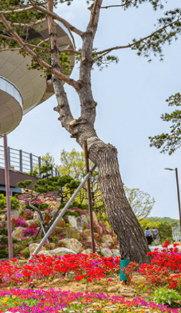 강화 루지&amp;#44; 케이블카 요금