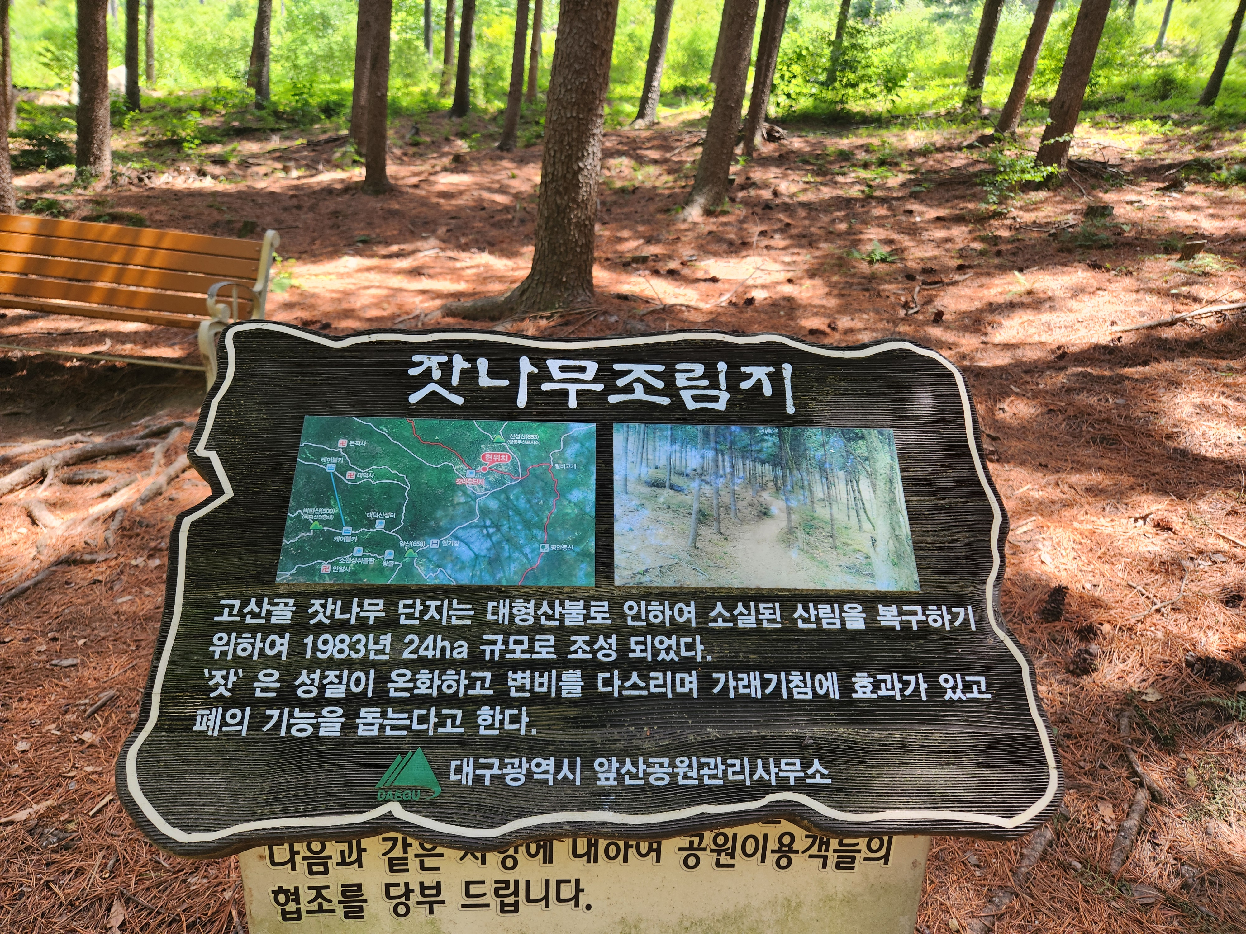 산성산 (79)