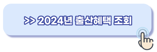 2024년 출산혜택