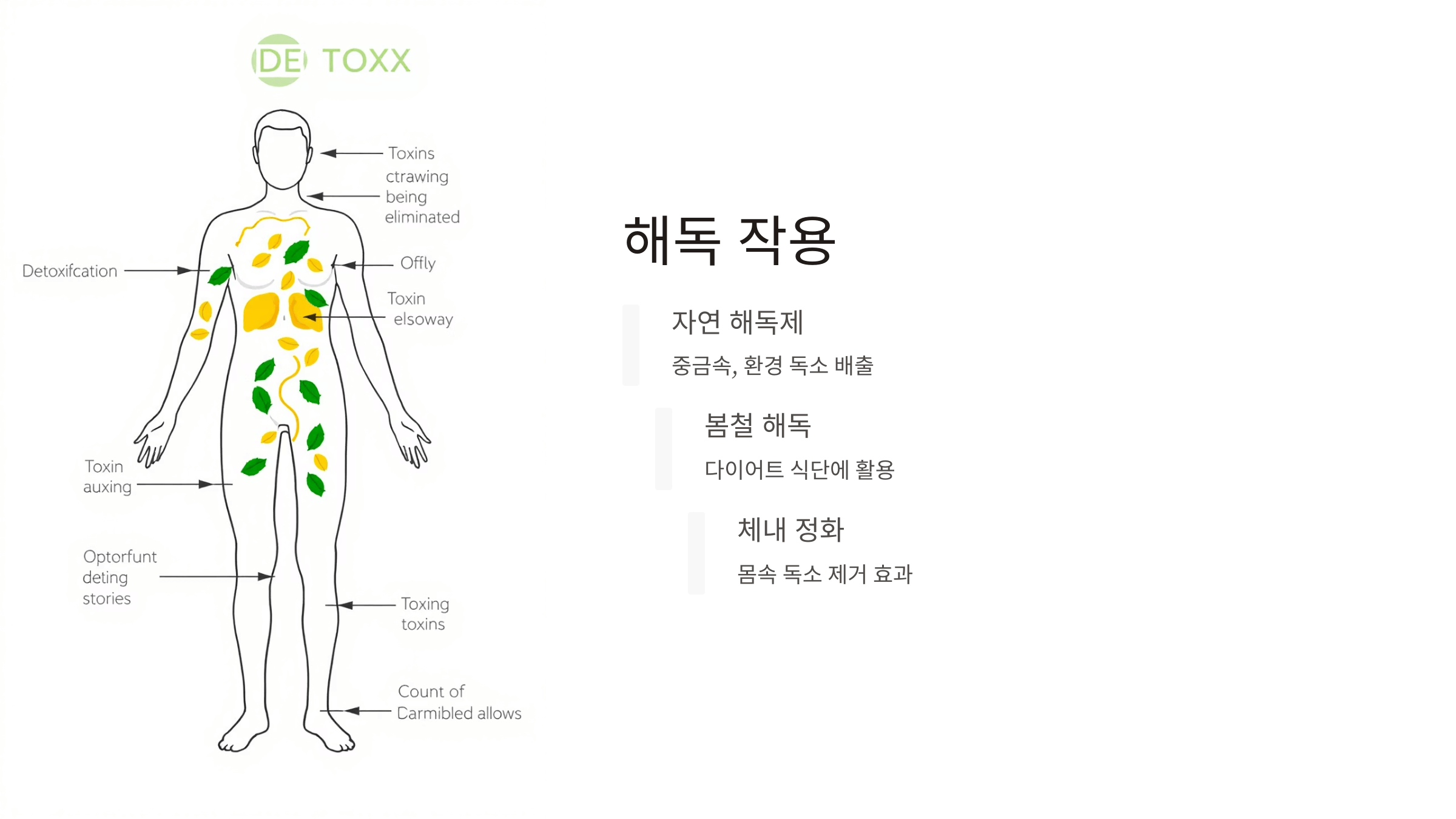 흰민들레 사진입니다.