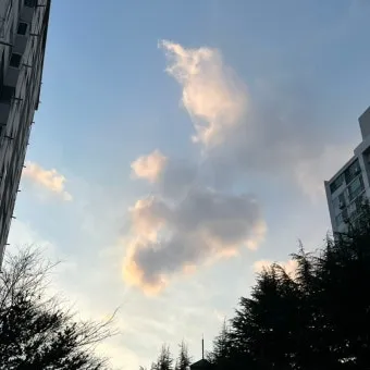 대전 은행동 역전 새벽시장하루가 가장 먼저 시작되는 따뜻한 풍경 기록_26