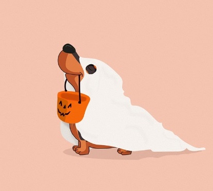 할로윈데이 축제행사 가볼만한 곳