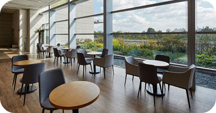 국립중앙박물관 관람시간부터 입장료,주차정보,어린이박물관 정보까지