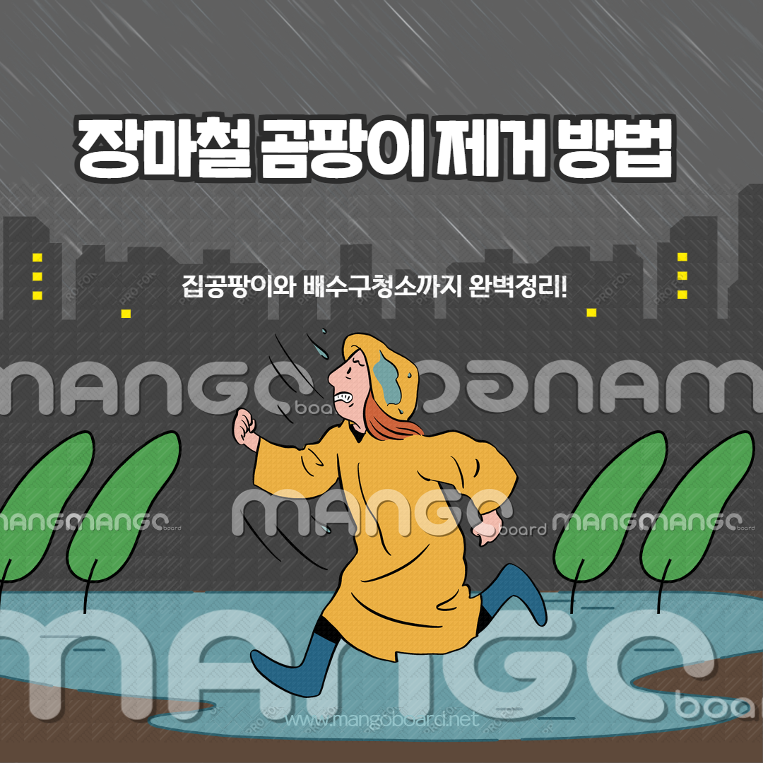 장마철 곰팡이 제거 방법