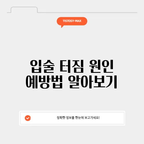 입술 터짐 원인 예방법 알아보기