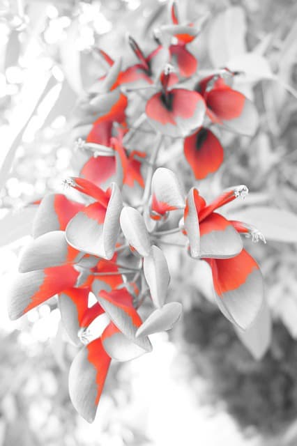 나노로봇이 이끄는 암 치료의 새로운 혁명