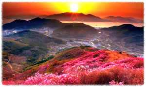 영취산