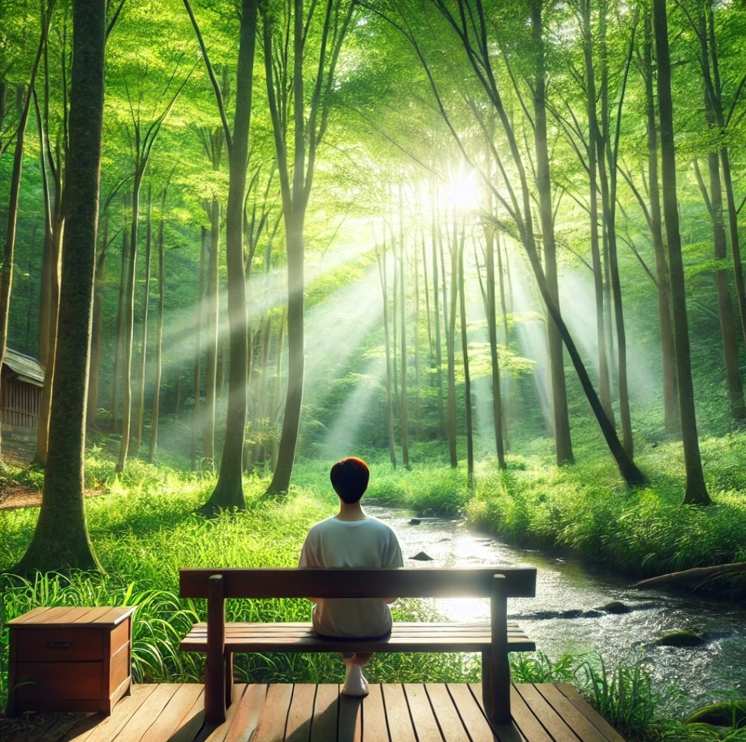 울창한 숲속 나무들 사이에서 한 사람이 벤치에 앉아 평온한 분위기를 즐기고 있으며, 부드러운 햇살이 나뭇잎 사이로 스며듬