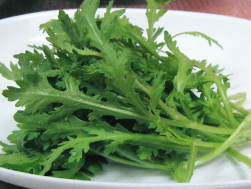 장에 좋은 음식 10가지