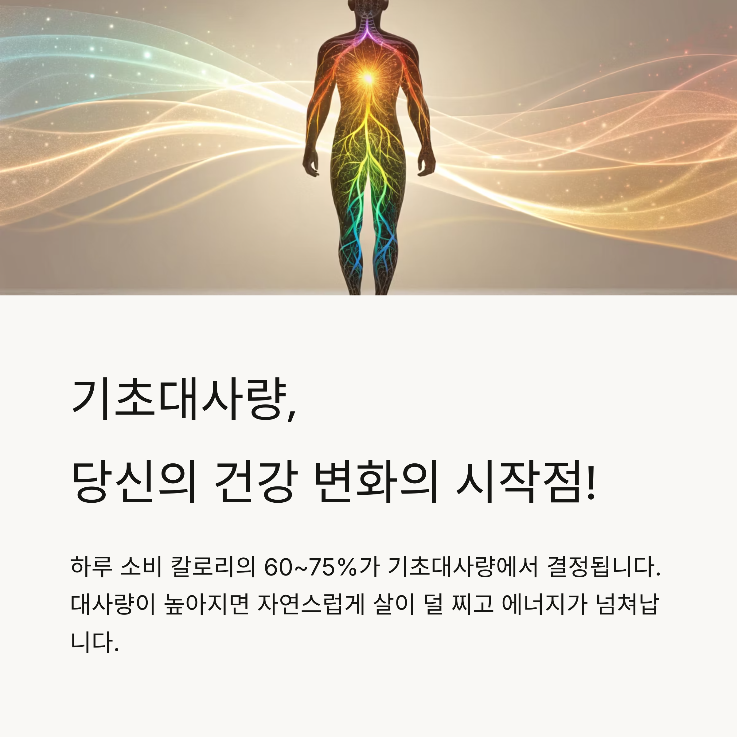 기초대사량 올리는 가장 빠른 방법 총정리