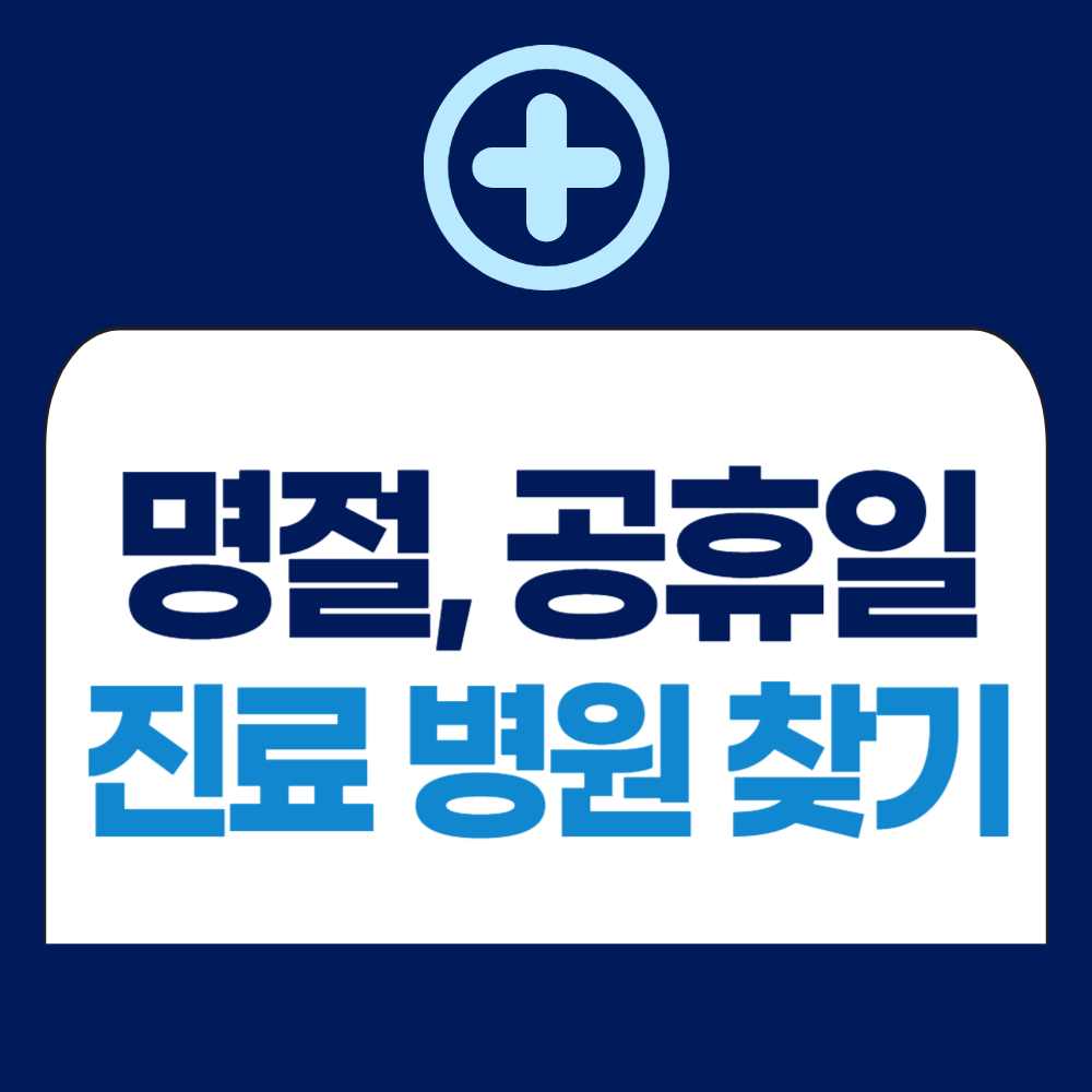 공휴일 진료병원 찾기 - 추석 병원 약국 조회