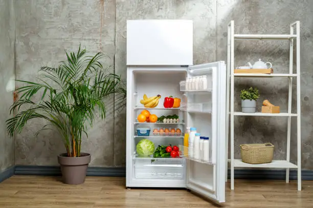 냉장고 냄새 없애는 방법