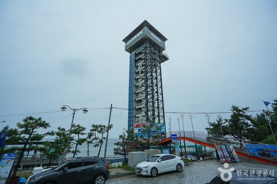 보령 가볼만한곳 베스트10