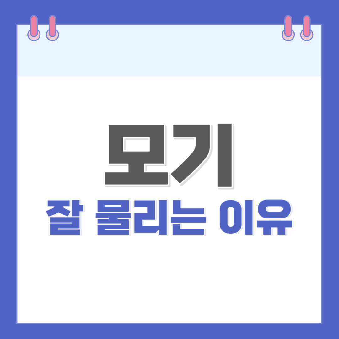 모기-잘-물리는-이유