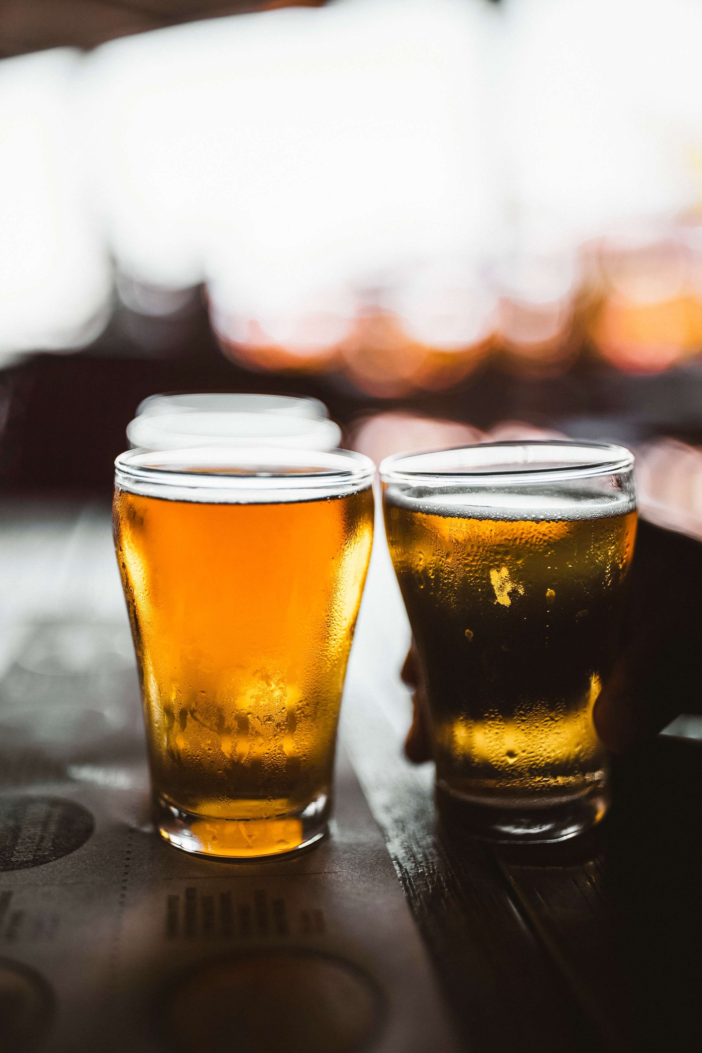 2023 부산 맥주 축제
