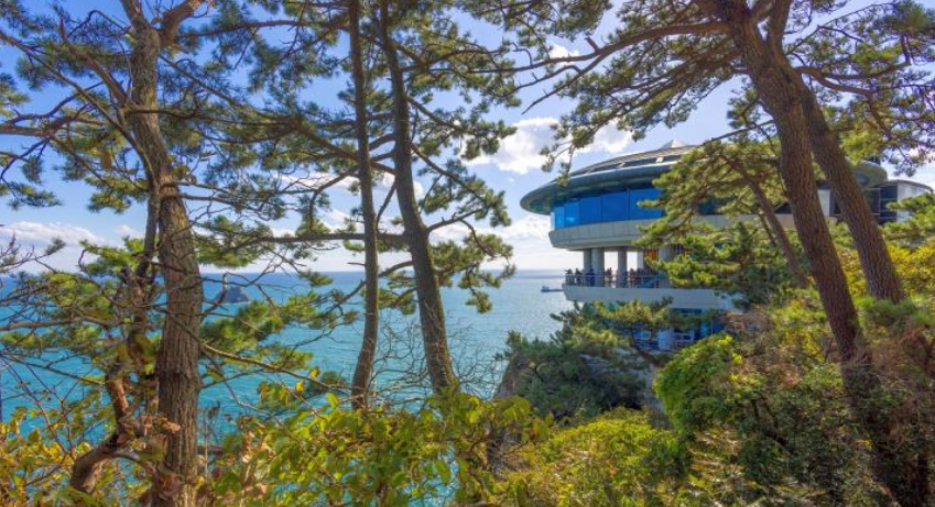 부산 태종대 수국 명소 완전 정복! 개화시기부터 수국축제, 포토존까지