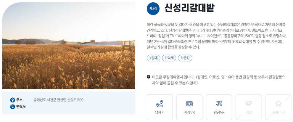 서천마량리 동백나무숲