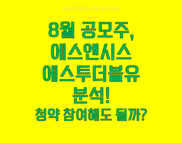 에스엔시스/에스투더블유