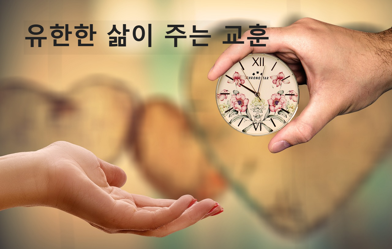 유한한 삶이 주는 교훈